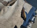 2000 Monterey Boat/Trlr for Sale in Des Moines, IA - Mechanical