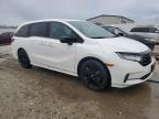 2023 Honda Odyssey Sport-L на продаже в Louisville, KY - Hail