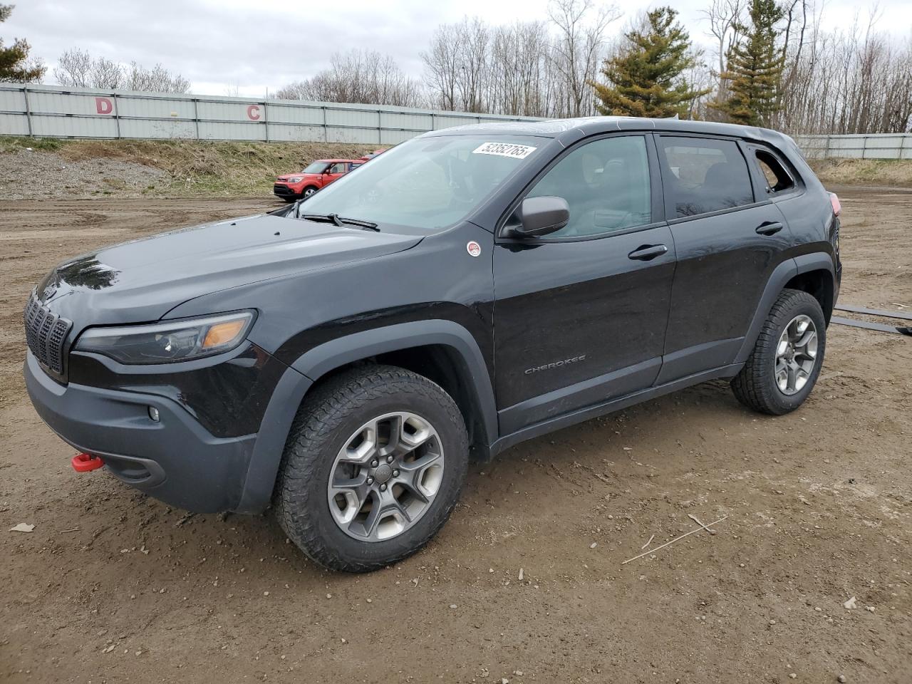 2019 Jeep Cherokee Trailhawk de vânzare în Davison, MI - Top/Roof