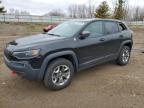 2019 Jeep Cherokee Trailhawk на продаже в Davison, MI - Top/Roof