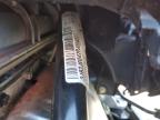 2023 Can-Am Ryker Sport for Sale in York Haven, PA - Front End