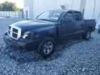 Apopka, FL에서 판매 중인 2007 Dodge Dakota Quad   - Front End