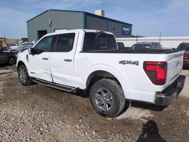  FORD All Models 2024 Білий