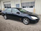 2006 Honda Accord Se იყიდება Dyer-ში, IN - Minor Dent/Scratches