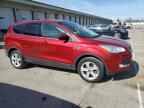 2015 Ford Escape Se zu verkaufen in Louisville, KY - Rear End
