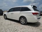 2016 Honda Odyssey Exl   de vânzare în Taylor, TX - Minor Dent/Scratches