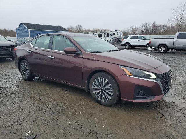  NISSAN ALTIMA 2024 Burgundy