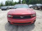 2010 Ford Mustang  for Sale in Midway, FL - Frame Damage