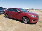 2015 Hyundai Sonata Se zu verkaufen in Amarillo, TX - Rear End