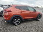 2016 Hyundai Tucson Limited на продаже в Earlington, KY - Hail