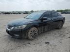 2015 Honda Accord Exl for Sale in San Antonio, TX - Hail
