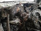2007 Chevrolet Trailblazer Ls en Venta en Eldridge, IA - Burn