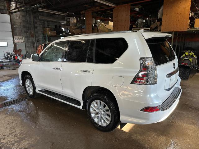 2023 LEXUS GX 460