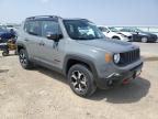2021 Jeep Renegade Trailhawk for Sale in Mcfarland, WI - Hail