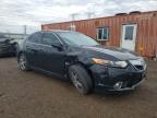 2012 Acura Tsx Se for Sale in Elgin, IL - Front End