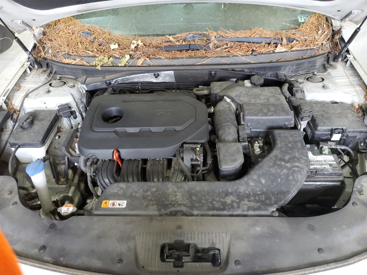 2015 Hyundai Sonata Se VIN: 5NPE24AF2FH186503 Lot: 55163915