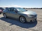 2009 Nissan Maxima S for Sale in Earlington, KY - Hail