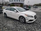 2017 Hyundai Sonata Plug-In Hybrid de vânzare în North Billerica, MA - Rear End