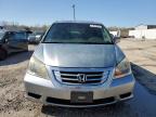 2010 Honda Odyssey Exl zu verkaufen in Louisville, KY - Hail