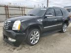 Los Angeles, CA에서 판매 중인 2007 Cadillac Escalade Luxury - Front End