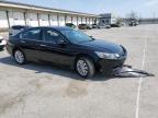 2013 Honda Accord Exl للبيع في Louisville، KY - Front End