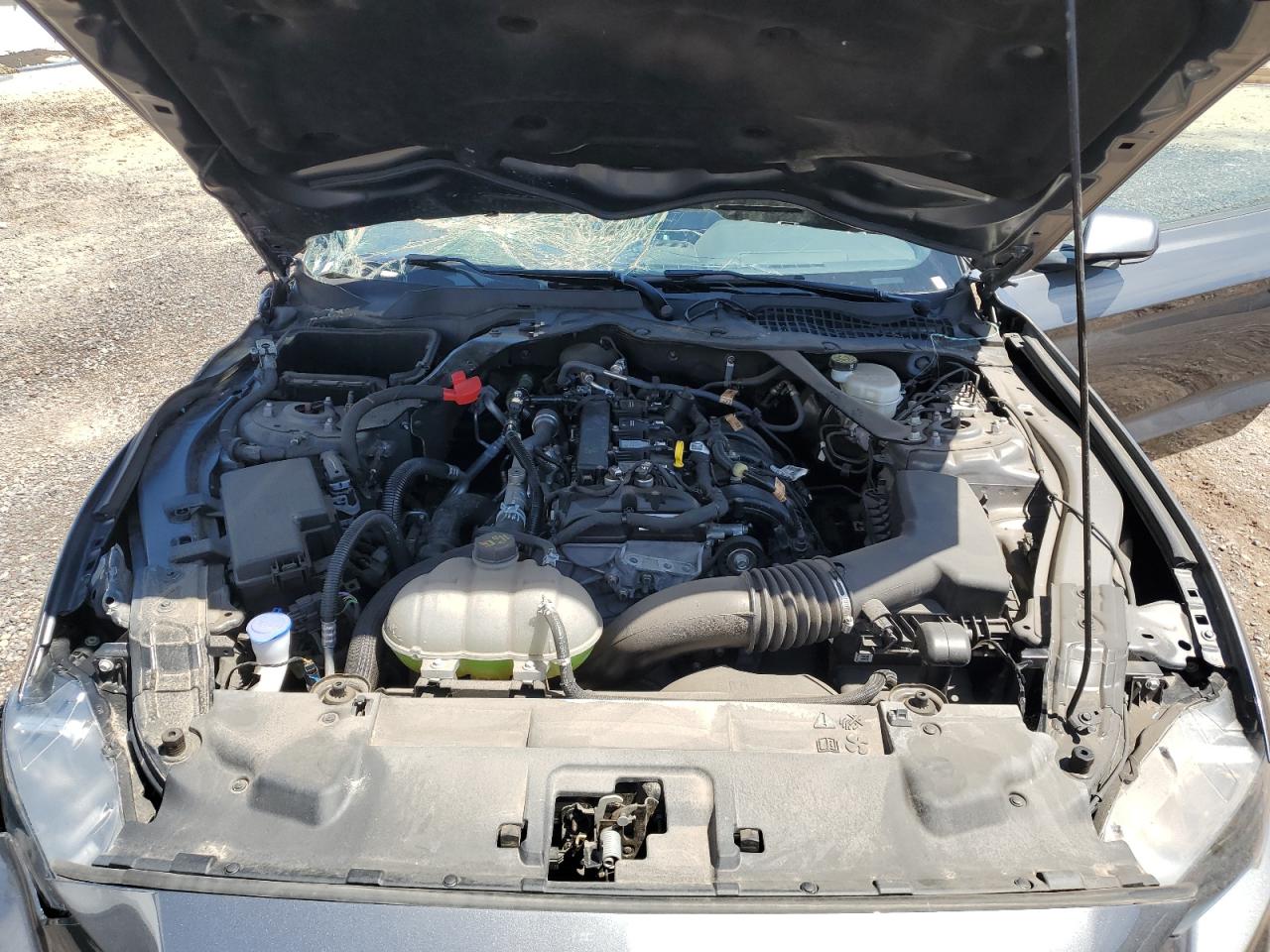 2023 Ford Mustang VIN: 1FATP8UH7P5109274 Lot: 54274525