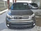 2017 Kia Soul + на продаже в Homestead, FL - Minor Dent/Scratches