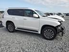 2020 Lexus Gx 460 Luxury na sprzedaż w Arcadia, FL - Front End