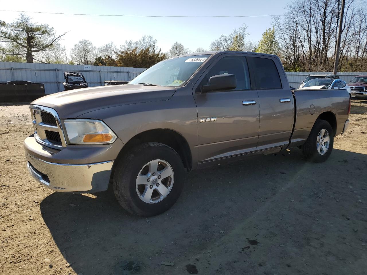 2010 Dodge Ram 1500 beige null gas 1D7RV1GP7AS159692 photo #1