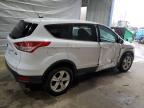 2015 Ford Escape Se   للبيع في Candia، NH - Side