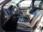 2012 Ford Escape Limited for Sale in Louisville, KY - Hail