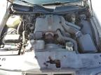 2003 Lincoln Town Car Executive იყიდება Houston-ში, TX - Rear End