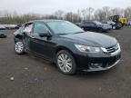 2015 Honda Accord Exl zu verkaufen in New Britain, CT - Side