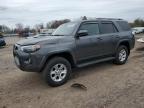 Chalfont, PA에서 판매 중인 2019 Toyota 4Runner Sr5 - Front End