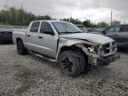 2006 Dodge Dakota Quad Slt للبيع في Memphis، TN - Front End