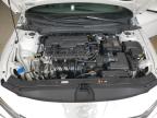 Lexington, KY에서 판매 중인 2024 Hyundai Elantra Sel - Rear End