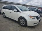 2014 Honda Odyssey Exl for Sale in Louisville, KY - Hail