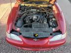 1997 Ford Mustang Gt zu verkaufen in Phoenix, AZ - Minor Dent/Scratches