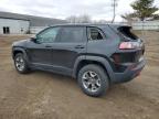 2019 Jeep Cherokee Trailhawk на продаже в Davison, MI - Top/Roof