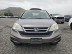 2011 Honda Cr-V Se for Sale in Colton, CA - Rear End