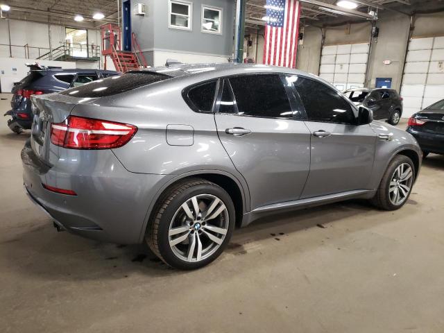 Parquets BMW X6 2013 Gray