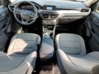 2020 Ford Escape S na sprzedaż w Louisville, KY - Hail