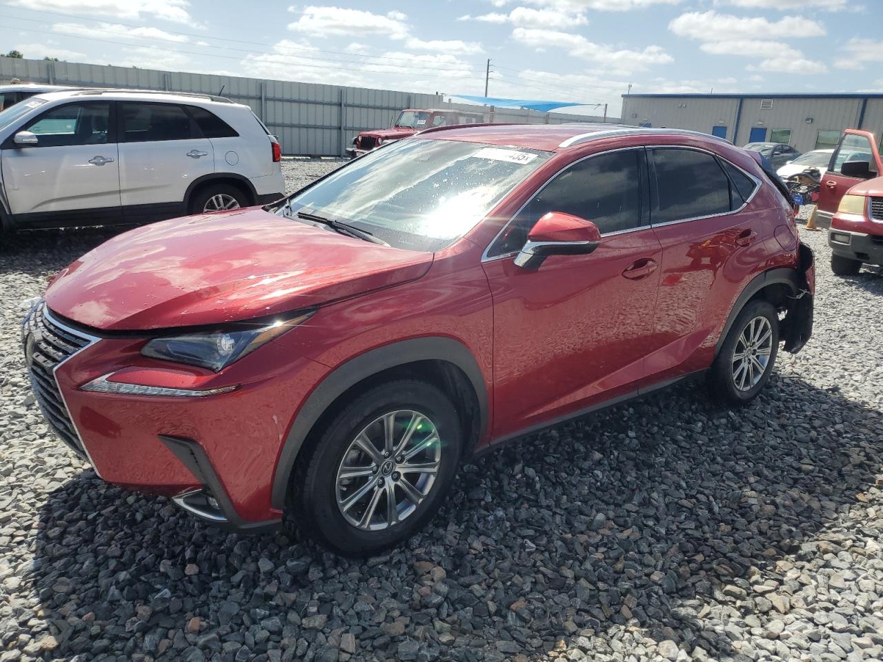 2020 Lexus Nx 300 Base for Sale in Arcadia, FL - Vandalism
