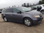2016 HONDA ODYSSEY LX à vendre chez Copart MD - BALTIMORE