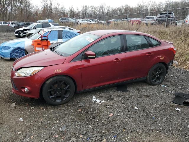  FORD FOCUS 2014 Czerwony
