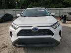 2023 Toyota Rav4 Xle en Venta en Midway, FL - Rear End