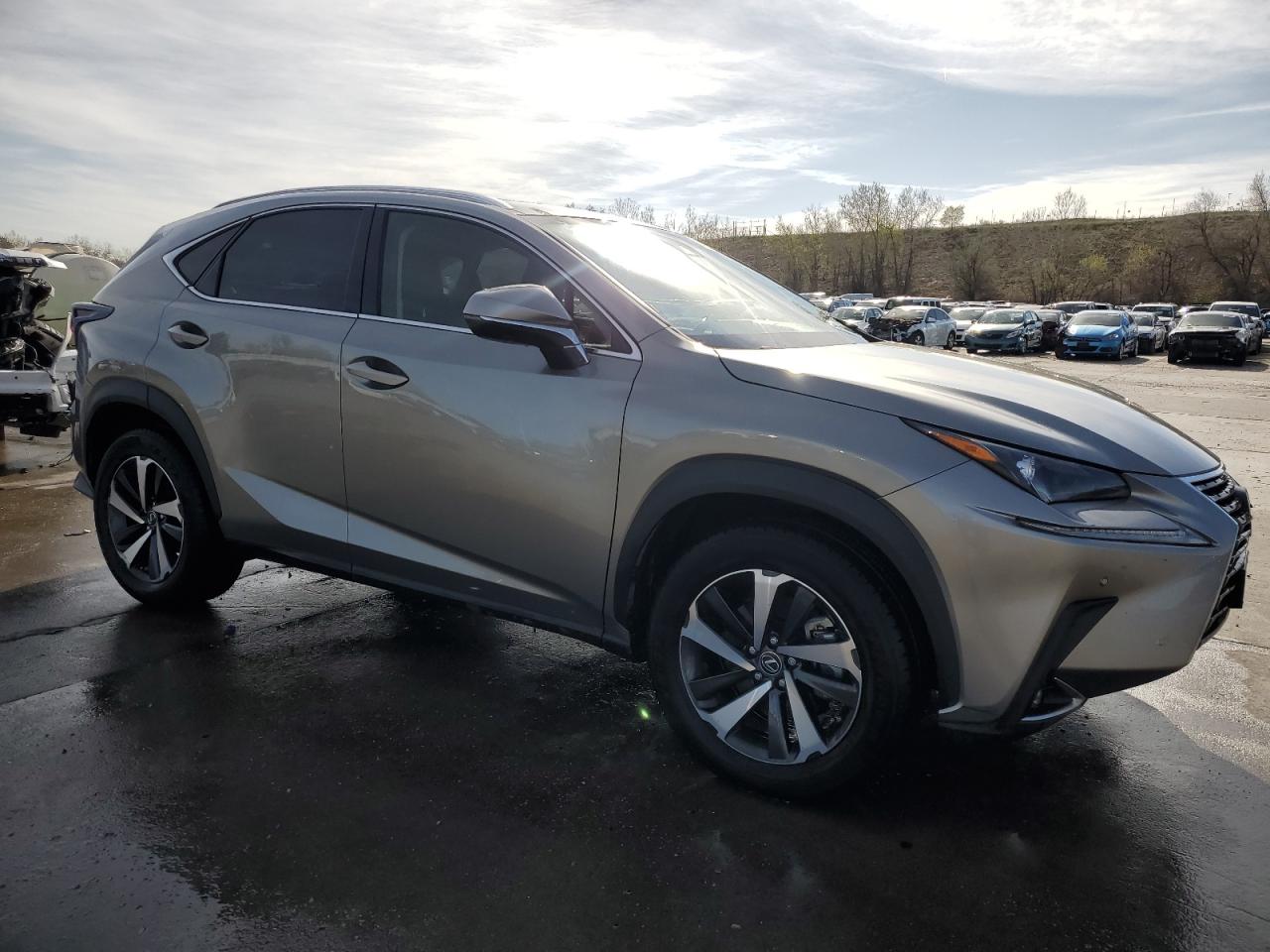 2020 Lexus Nx 300 VIN: JTJGARDZ0L2226280 Lot: 54134275