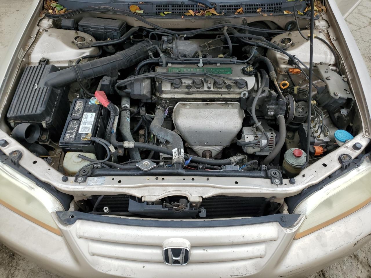 2001 Honda Accord Ex VIN: JHMCG66851C002737 Lot: 55276445