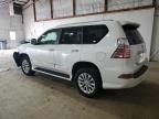 2018 Lexus Gx 460 for Sale in Lexington, KY - Front End