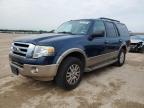 2013 Ford Expedition Xlt იყიდება San Antonio-ში, TX - Hail